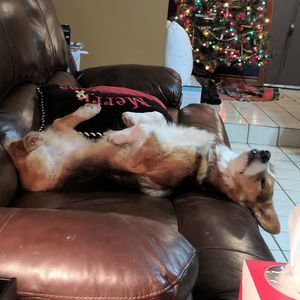 Meet your Posher, Phyllis